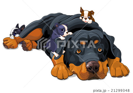 Rottweiler Family 21299348