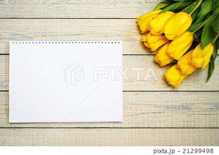 Fresh yellow tulips with easter greeting card Fresh yellow tulips with easter greeting card 21299498