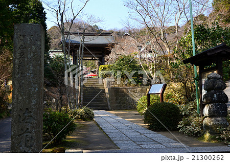 鎌倉　海蔵寺（2016.2） 21300262