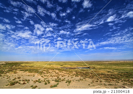 敦煌雅丹地質公園 21300418