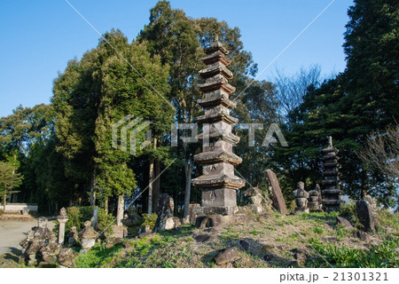 城泉寺阿弥陀堂 21301321