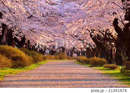 北上展勝地 21301678