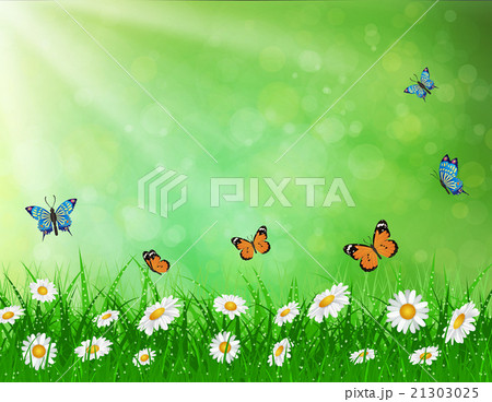 daisy vector background summer design daisy vector background summer design 21303025