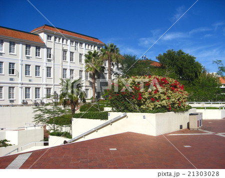 ステレンボッシュ大学（南アフリカ共和国） 21303028