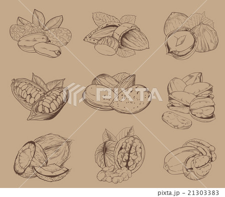 Engraved Nuts Isolated Set Of Mixed Nuts のイラスト素材