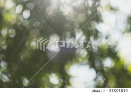 abstract natural blur background 21303850