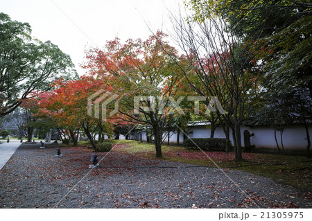旧細川刑部邸 21305975