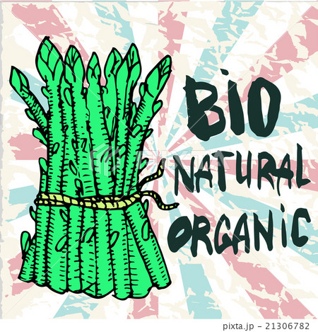 Vector illustration of hand drawn vegetables 21306782