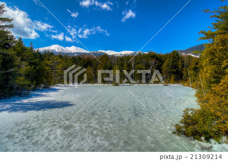 牛留池・冬（乗鞍高原） 21309214