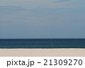 ブルー_4568 21309270