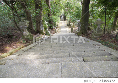 八倉比売神社の参道 八倉比売神社の参道 21309372