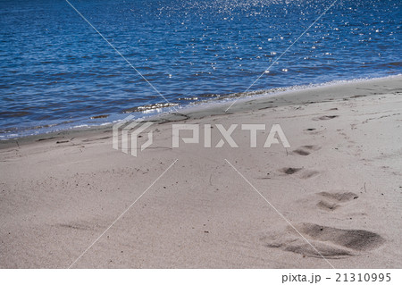 the sandy beach at the blue river with traces 21310995
