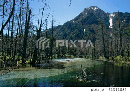 初夏の上高地 21311885