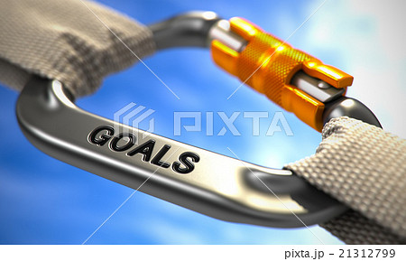 Chrome Carabiner Hook with Text Goals. 21312799
