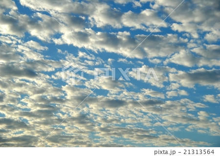 雲　夕景 21313564