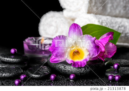 beautiful spa background of orchid dendrobium 21313878