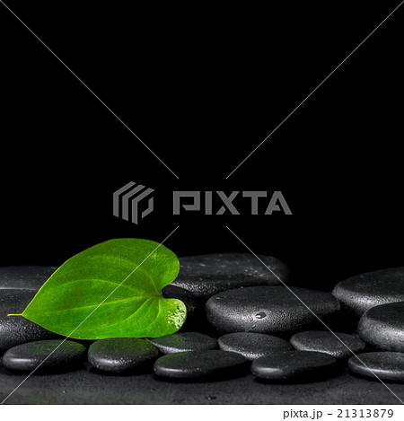 spa background of zen stones and green leaf 21313879