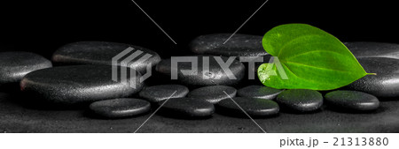spa background of zen stones and green leaf spa background of zen stones and green leaf 21313880