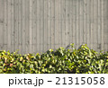 シームレス背景 木の壁と植物 シームレス背景 木の壁と植物 21315058
