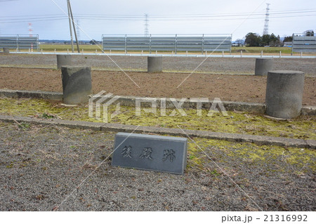 城輪柵跡 21316992