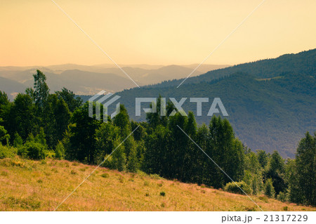 Mountain view Mountain view 21317229