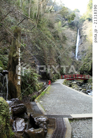 洒水の滝（山北町） 21318390