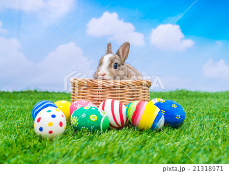 Rabbit and easter eggs in green grass with blue sky Rabbit and easter eggs in green grass with blue sky 21318971