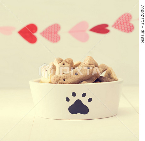 Dog treats on a white bowl Dog treats on a white bowl 21320007