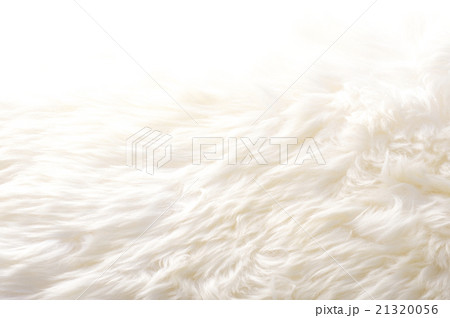 ムートン 21320056