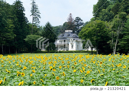 満開のヒマワリと道の駅「黒磯・明治の森」に建つ洋館 21320421