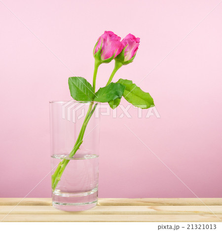The beautiful roses flower with glass of water 21321013