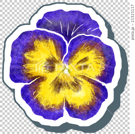 パンジー 21323117