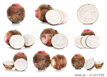 taro isolated on the white background taro isolated on the white background 21323700