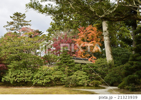 修学院離宮　下離宮庭園 21323939