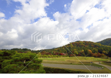 修学院離宮　田園風景と松並木 21324687