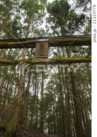 立岩神社鳥居 21324778