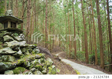 天の岩戸立岩神社参道 21324784
