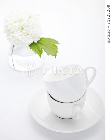 食器の活用 食器の活用 21325209