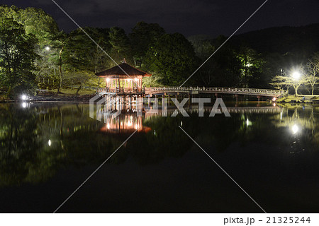 奈良公園・鷺池の浮見堂 21325244