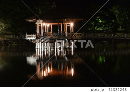 奈良公園・鷺池の浮見堂 21325248