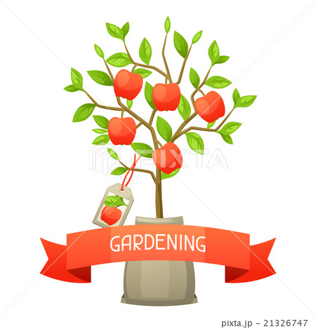 Seedling Of Apple Tree With Illustration Forのイラスト素材