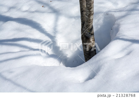 根開き 根開き 21328768