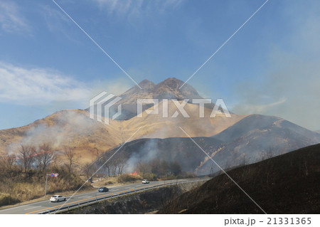 由布岳山麓の野焼き 由布岳山麓の野焼き 21331365