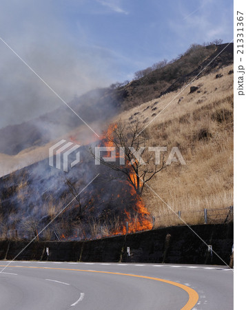 由布岳山麓の野焼き 21331367
