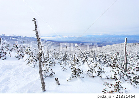 縞枯山からの風景 21331464