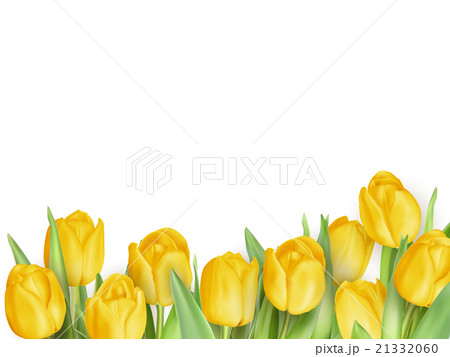 Tulip flowers as a holiday postcard. EPS 10 Tulip flowers as a holiday postcard. EPS 10 21332060