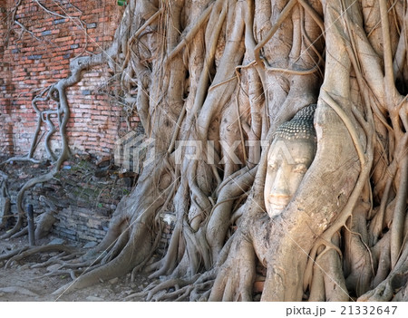タイ　アユタヤ 21332647