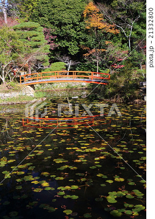 京都 大原野神社 鯉沢の池 京都 大原野神社 鯉沢の池 21332800