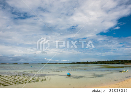 宮古島／アーサ／養殖 21333015