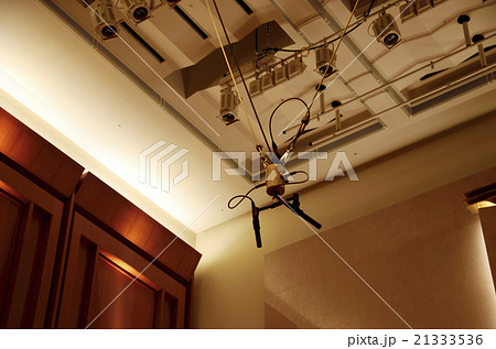 コンサートホールの吊りマイク コンサートホールの吊りマイク 21333536